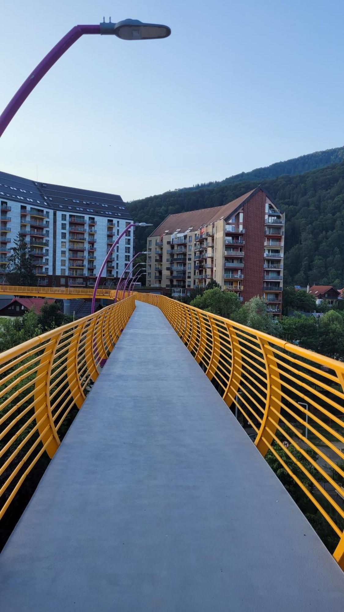Belleview Family Apartment Sinaia Ngoại thất bức ảnh
